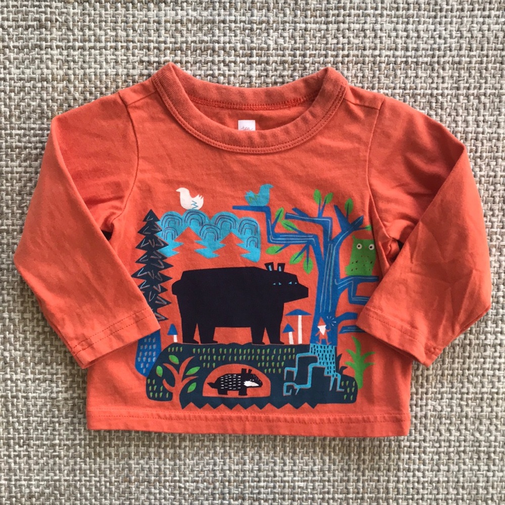 Tea Collection Shirt (size 6-9m)